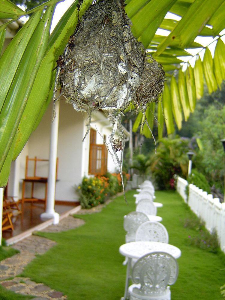 Water Garden Hotel เบลิฮุล โอยา ภายนอก รูปภาพ
